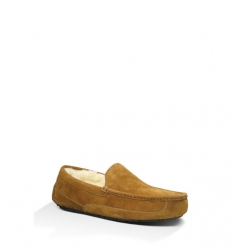 Mens Ascot - Suede Chestnut 5775